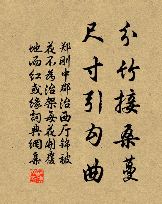 郑刚中分竹接桑蔓，尺寸引勾曲书法作品欣赏