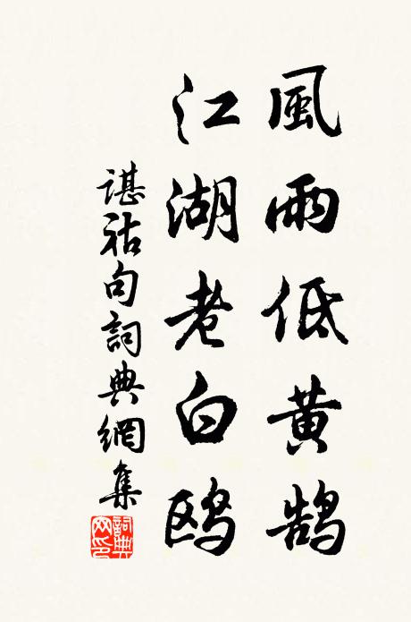 谌祜风雨低黄鹄，江湖老白鸥。书法作品欣赏