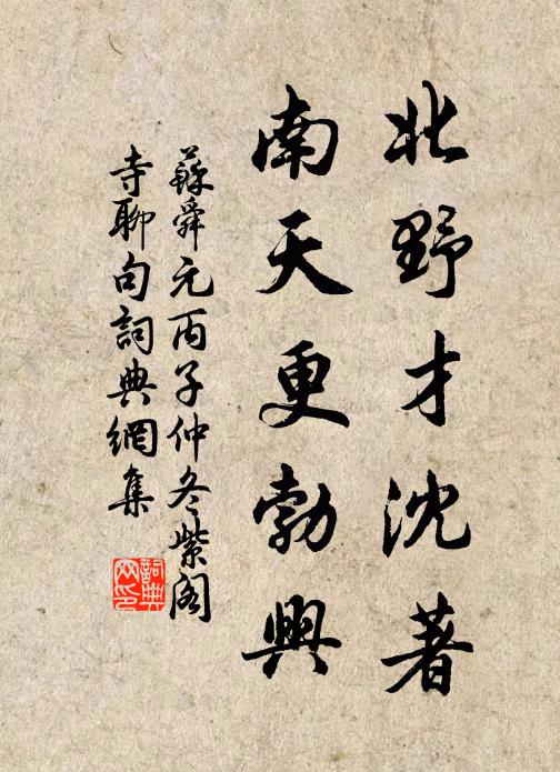 苏舜元北野才沈著，南天更勃兴书法作品欣赏