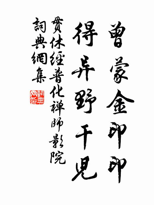 贯休曾蒙金印印，得异野干儿书法作品欣赏