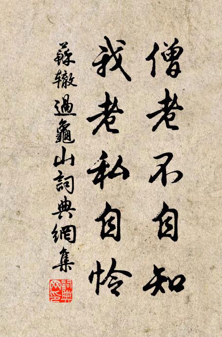苏辙僧老不自知，我老私自怜书法作品欣赏