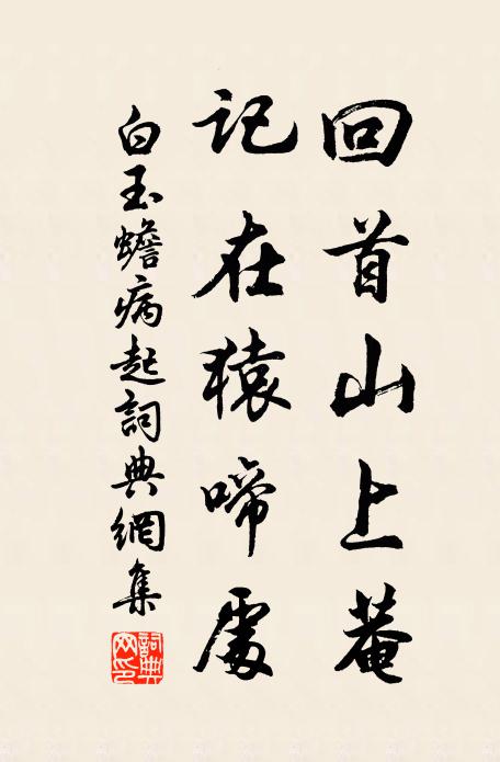 白玉蟾回首山上菴，记在猿啼处书法作品欣赏