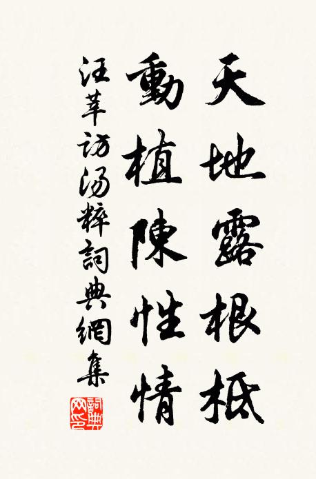 汪莘天地露根柢，动植陈性情书法作品欣赏