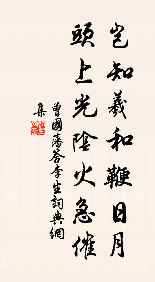 曾国藩岂知羲和鞭日月，头上光阴火急催书法作品欣赏