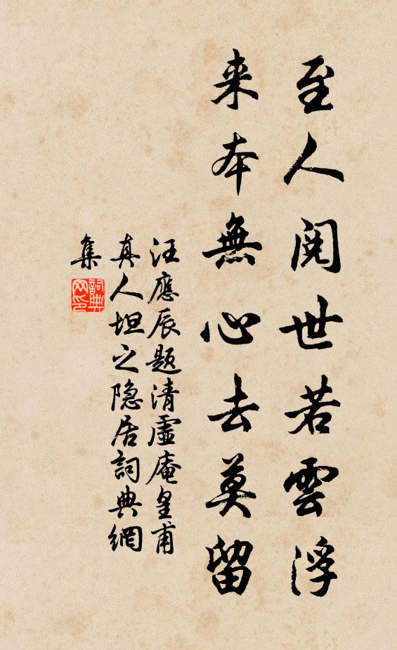 汪应辰至人阅世若云浮，来本无心去莫留书法作品欣赏
