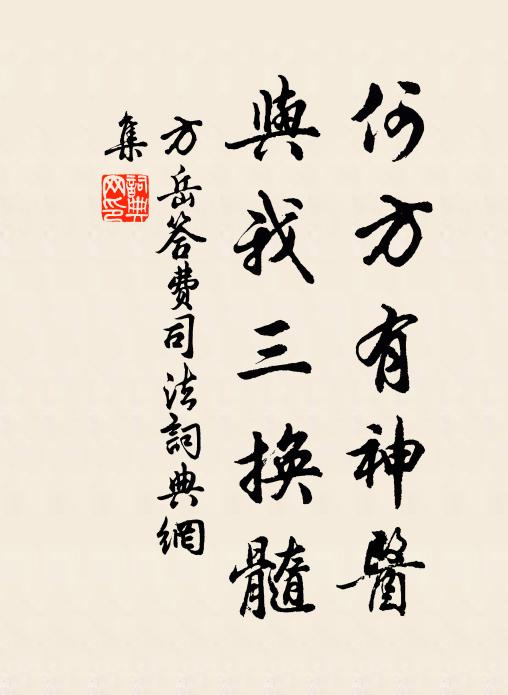 方岳何方有神医，与我三换髓书法作品欣赏