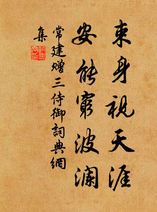 常建束身视天涯，安能穷波澜书法作品欣赏