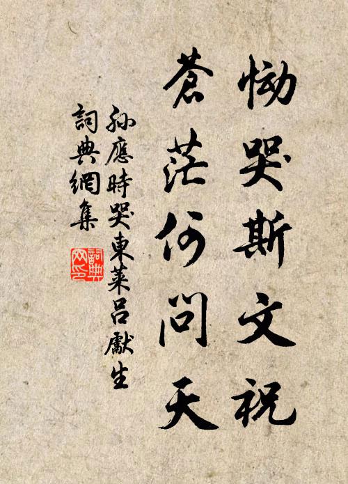 孙应时恸哭斯文祝，苍茫何问天书法作品欣赏