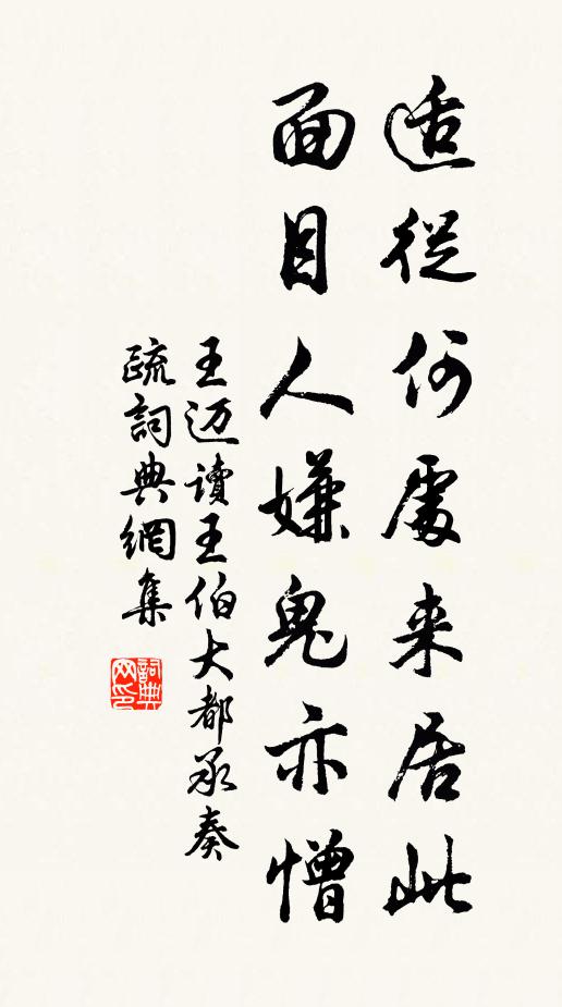 王迈适从何处来居此，面目人嫌鬼亦憎书法作品欣赏