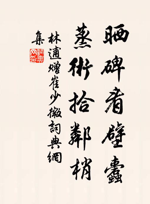 林逋晒碑看壁蠹，蒸术拾邻梢书法作品欣赏