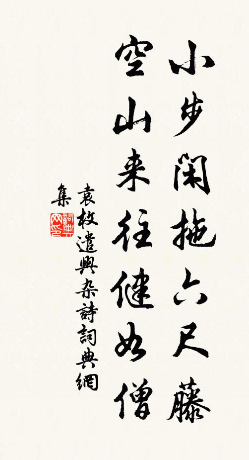 袁枚小步闲拖六尺藤，空山来往健如僧书法作品欣赏