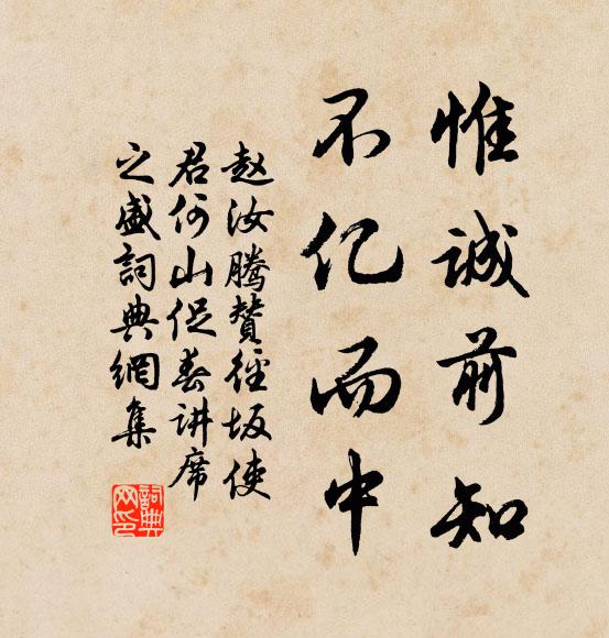 赵汝腾惟诚前知，不亿而中书法作品欣赏
