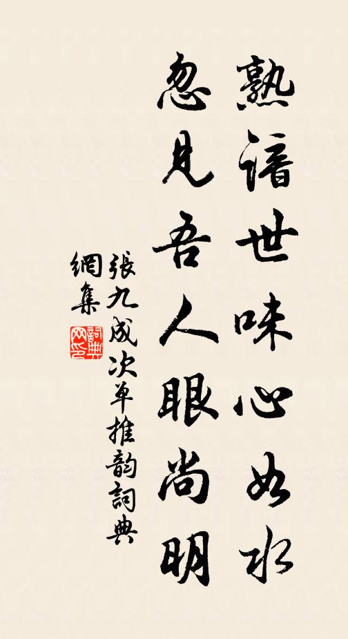 张九成熟谙世味心如水，忽见吾人眼尚明书法作品欣赏