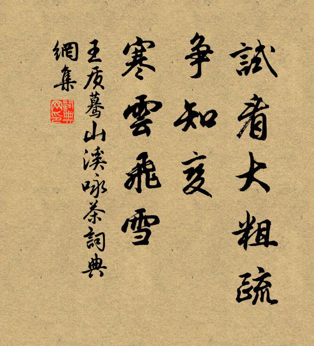 王质试看大粗疏，争知变、寒云飞雪书法作品欣赏
