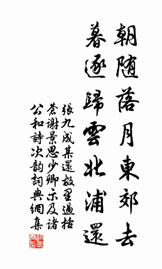 张九成朝随落月东郊去，暮逐归云北浦还书法作品欣赏