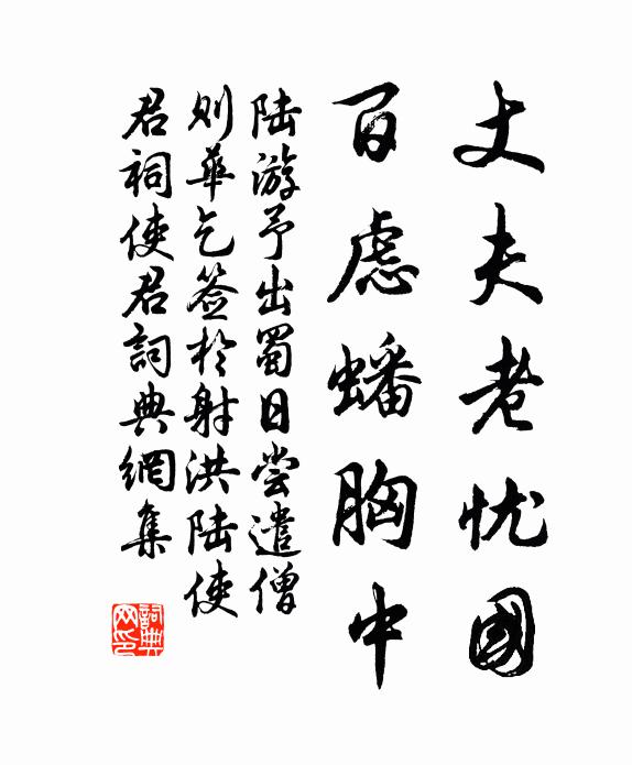 陆游丈夫老忧国，百虑蟠胸中书法作品欣赏