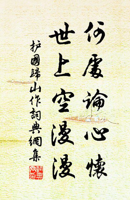 护国何处论心怀，世上空漫漫书法作品欣赏