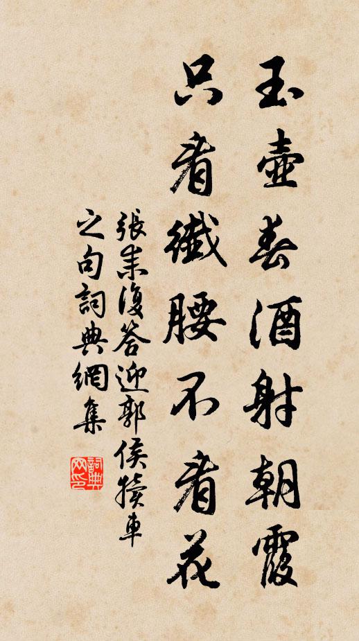 张耒玉壶春酒射朝霞，只看纤腰不看花书法作品欣赏