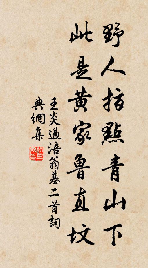 王炎野人指点青山下，此是黄家鲁直坟书法作品欣赏