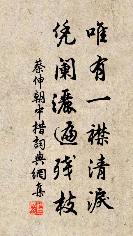 蔡伸唯有一襟清泪，凭阑洒遍残枝书法作品欣赏