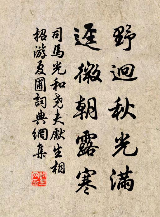 司马光野迥秋光满，迳微朝露寒书法作品欣赏