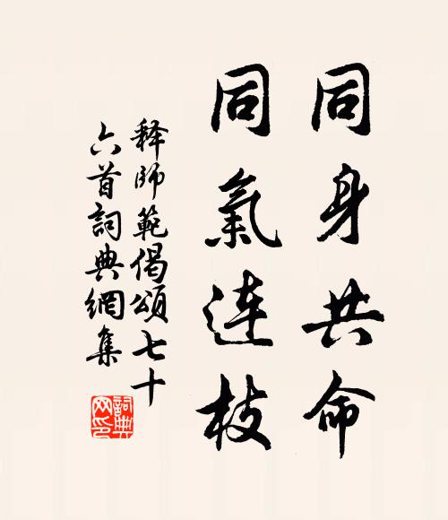 释师范同身共命，同气连枝书法作品欣赏