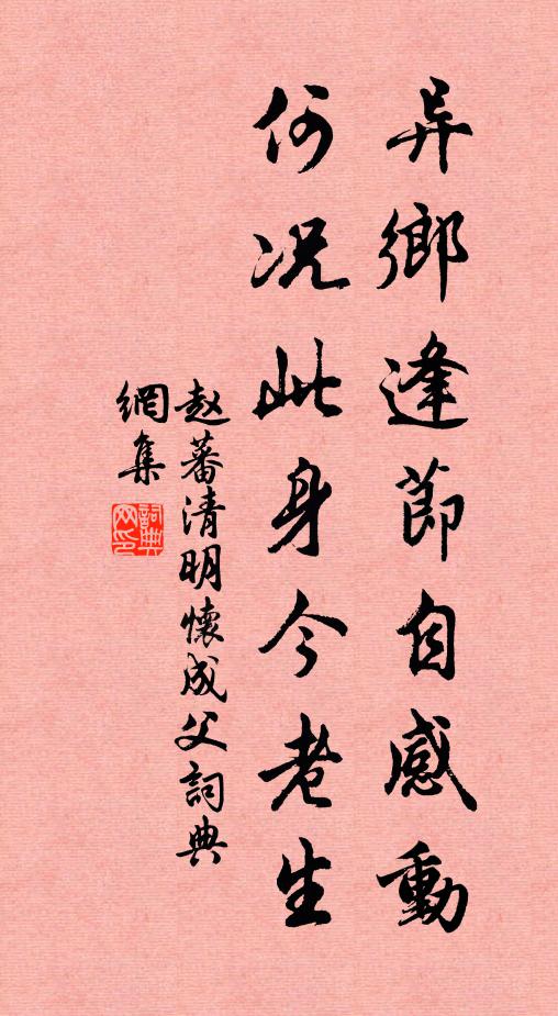 赵蕃异乡逢节自感动，何况此身今老生书法作品欣赏