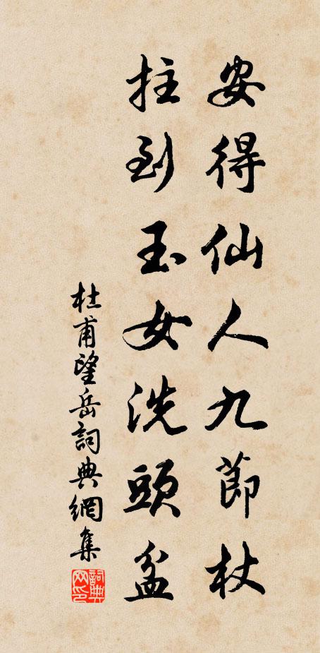 杜甫安得仙人九节杖，拄到玉女洗头盆书法作品欣赏