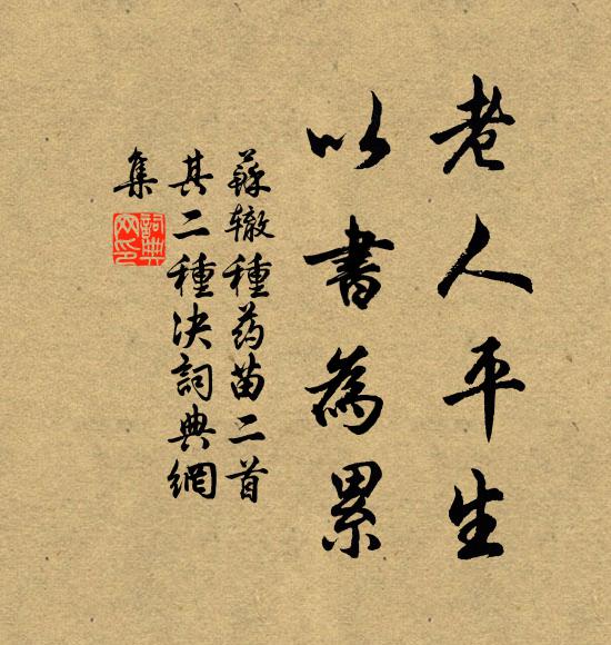 苏辙老人平生，以书为累书法作品欣赏