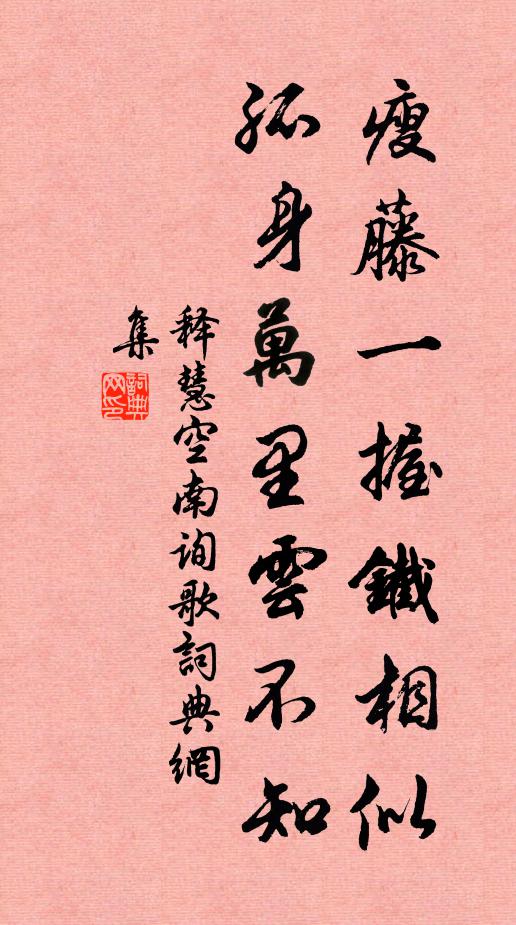 释慧空瘦藤一握铁相似，孤身万里云不知书法作品欣赏