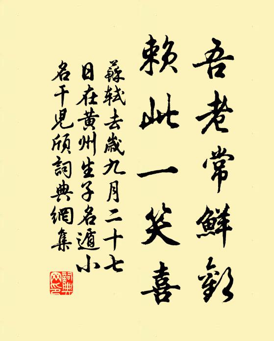 苏轼吾老常鲜欢，赖此一笑喜书法作品欣赏