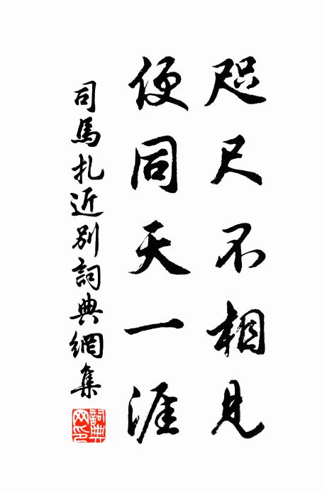 司马扎咫尺不相见，便同天一涯书法作品欣赏