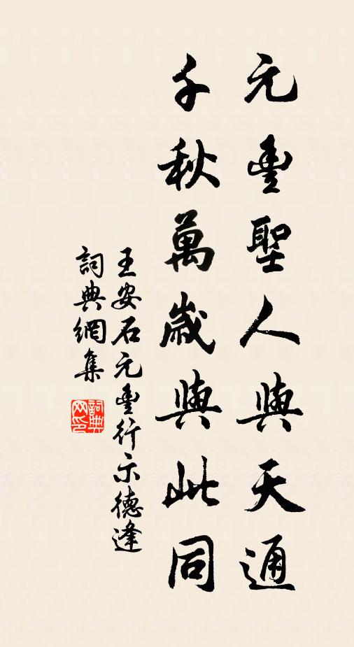 王安石元丰圣人与天通，千秋万岁与此同书法作品欣赏