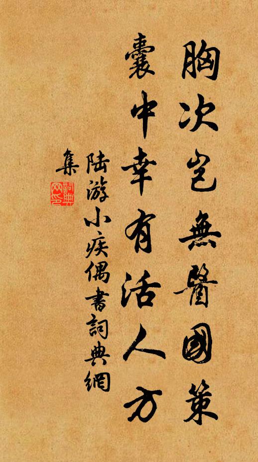陆游胸次岂无医国策，囊中幸有活人方书法作品欣赏