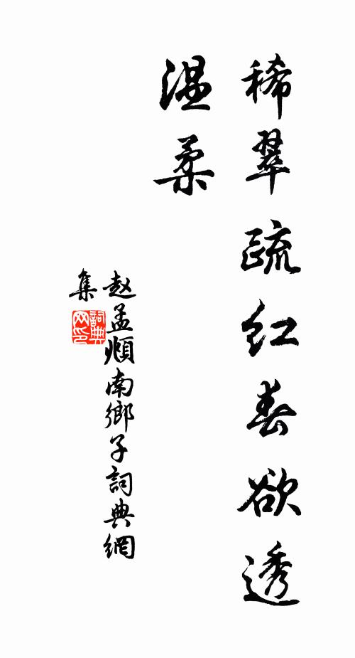 赵孟頫稀翠疏红春欲透，温柔书法作品欣赏