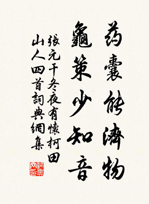 张元干药囊能济物，龟策少知音书法作品欣赏