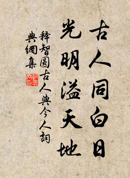 释智圆古人同白日，光明溢天地书法作品欣赏