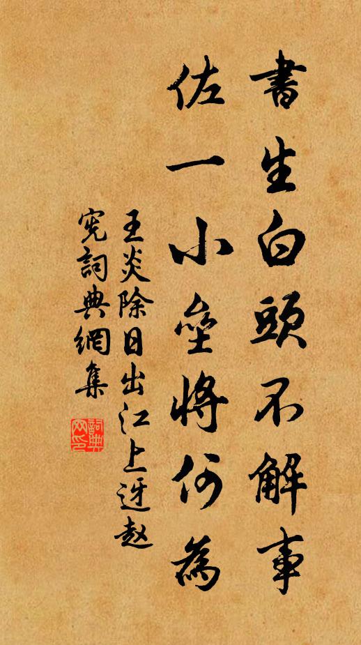王炎书生白头不解事，佐一小垒将何为书法作品欣赏