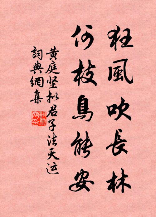 黄庭坚狂风吹长林，何枝鸟能安书法作品欣赏
