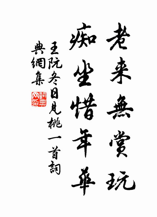 王阮老来无赏玩，痴坐惜年华书法作品欣赏