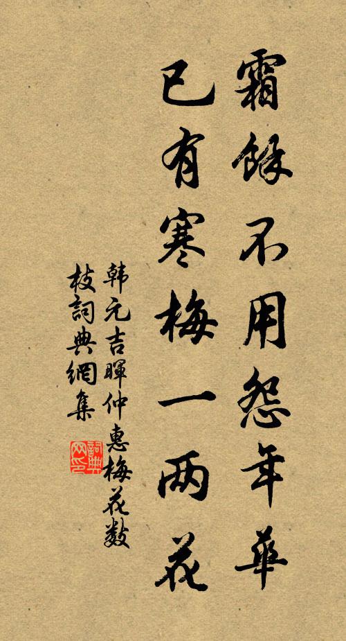 韩元吉霜余不用怨年华，已有寒梅一两花书法作品欣赏