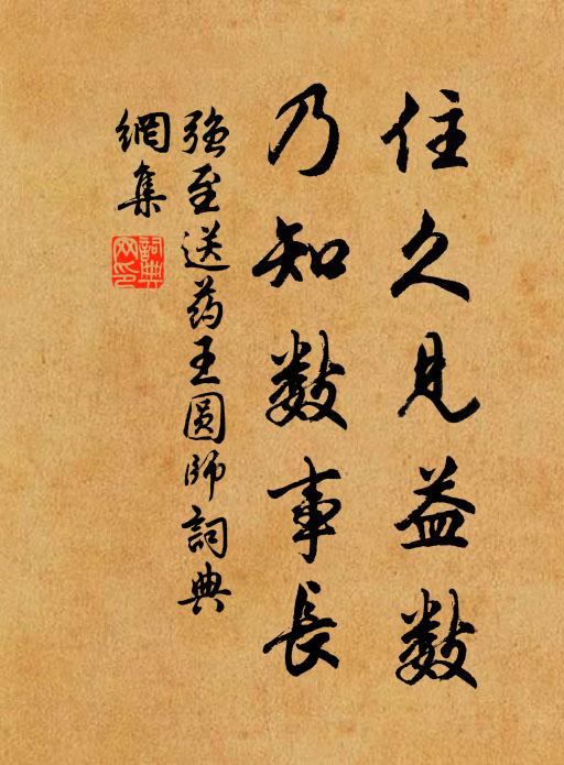 强至住久见益数,乃知数事长书法作品欣赏
