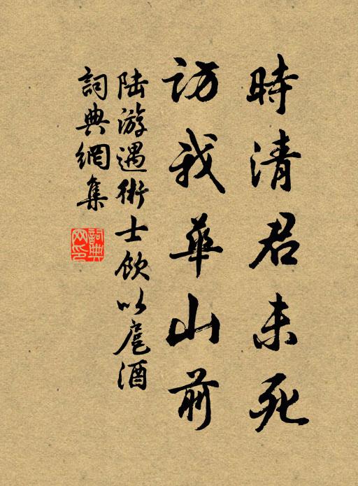 陆游时清君未死，访我华山前书法作品欣赏