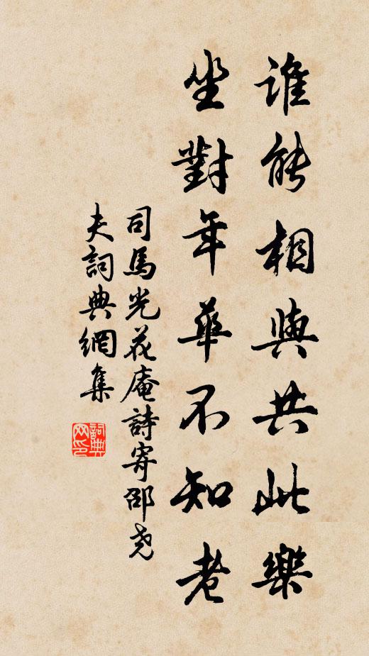 司马光谁能相与共此乐，坐对年华不知老书法作品欣赏