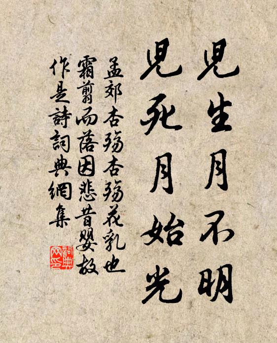 孟郊儿生月不明,儿死月始光书法作品欣赏