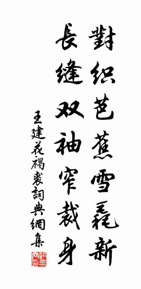 王建对织芭蕉雪毳新，长缝双袖窄裁身书法作品欣赏