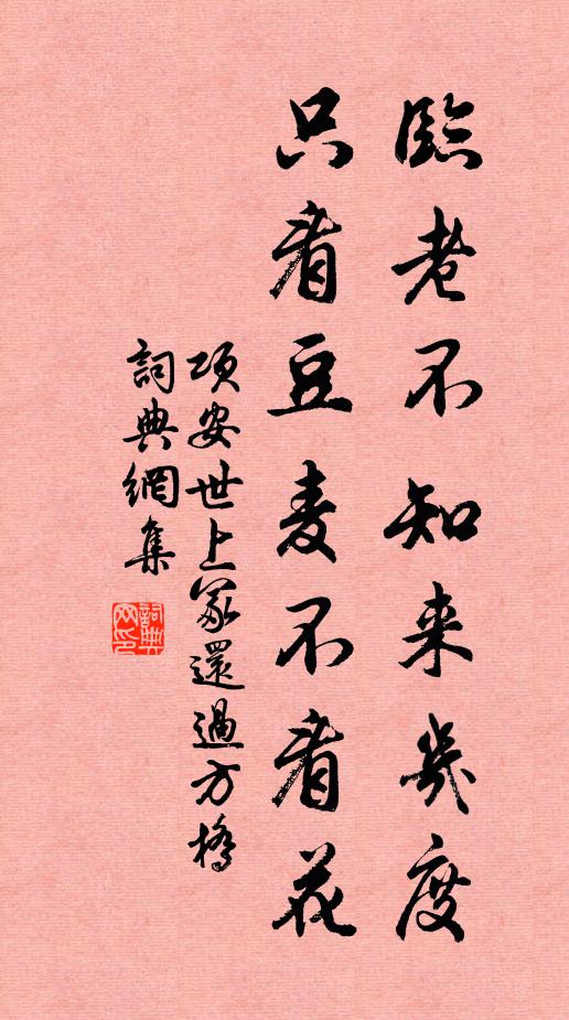 项安世临老不知来几度，只看豆麦不看花书法作品欣赏