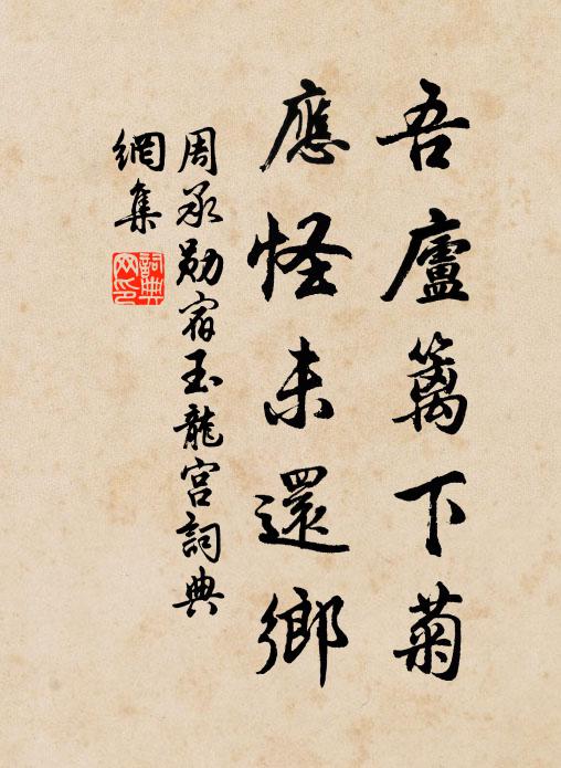 周承勋吾庐篱下菊，应怪未还乡书法作品欣赏
