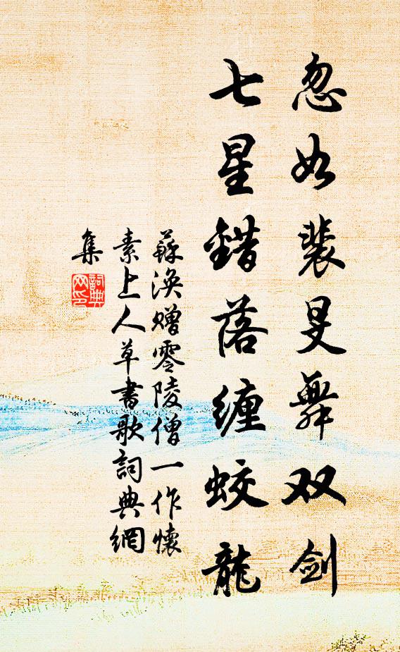 苏涣忽如裴旻舞双剑，七星错落缠蛟龙书法作品欣赏