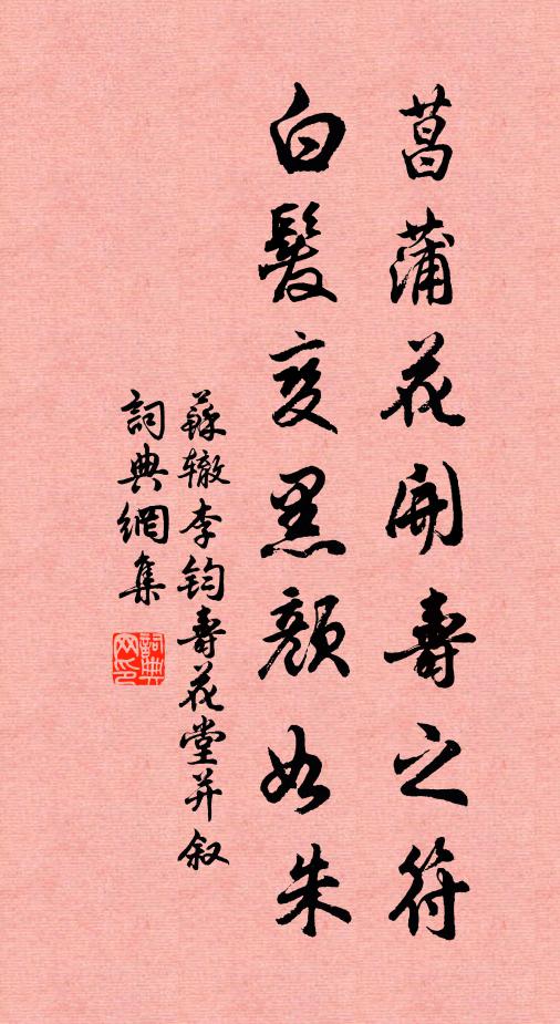 苏辙菖蒲花开寿之符，白发变黑颜如朱书法作品欣赏